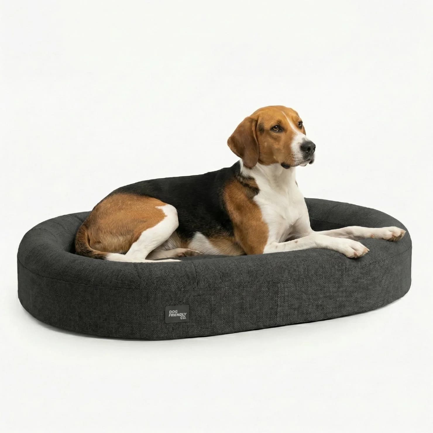 Dog Friendly Co. Chill Pill Memory Foam Dog Bed - Charcoal (Small)
