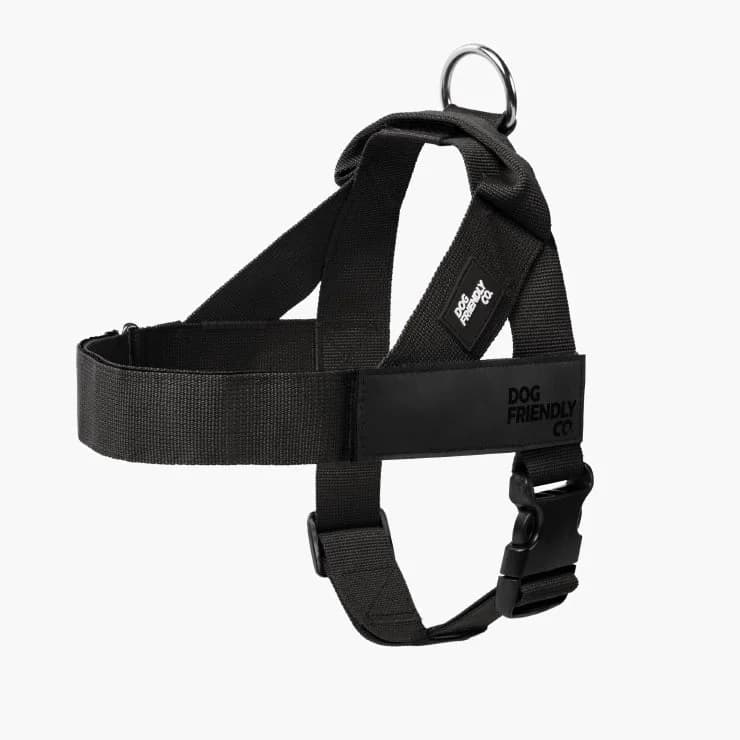 Dog Friendly Co. Personalised Dog Harness - Black