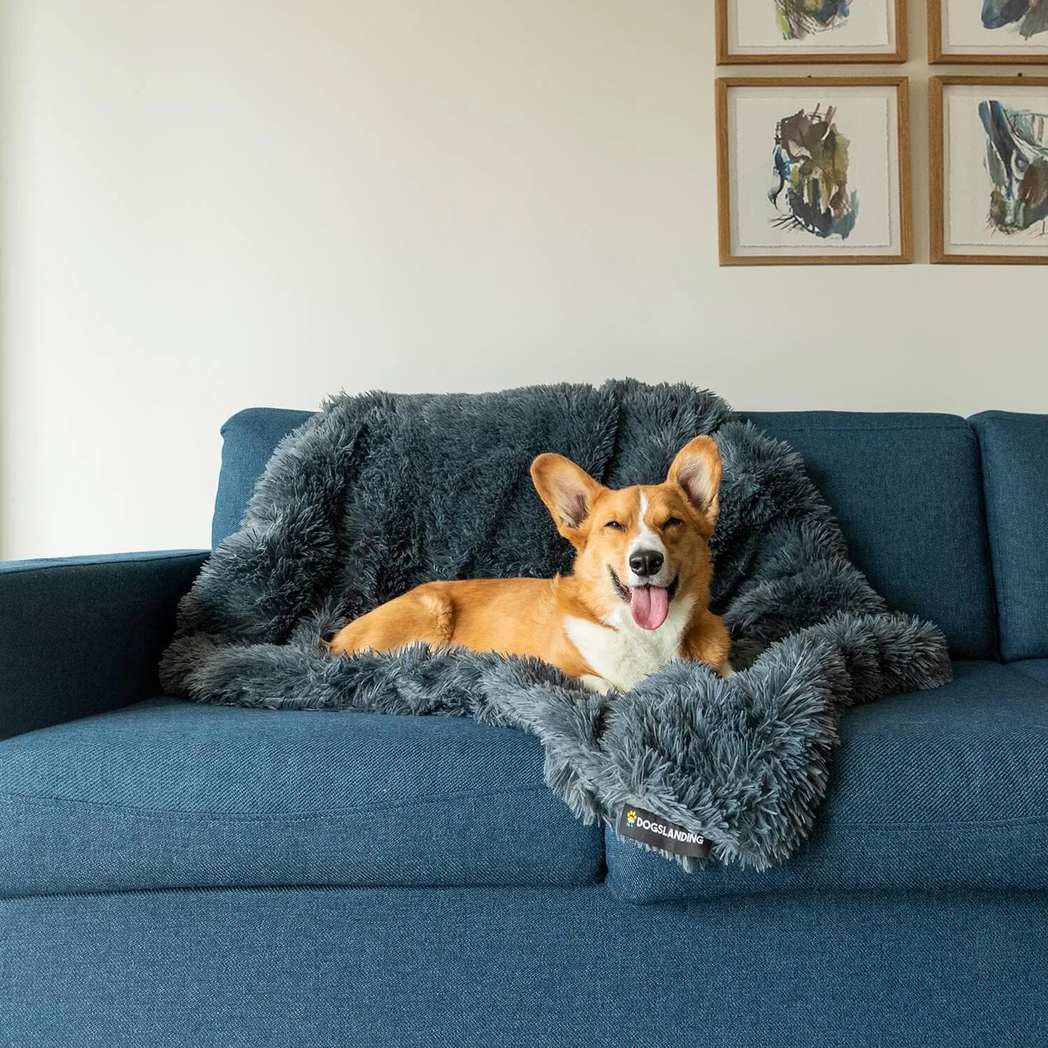 Dogslanding™ Calming Blanket