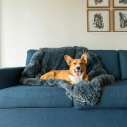 Dogslanding™ Calming Blanket